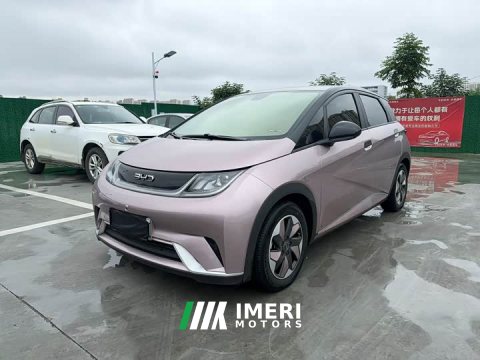 2024 BYD Dolphin Glory Edition 420km Fashion Version - ავტომობილი ჩინეთიდან