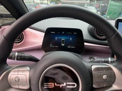 BYD Dolphin Glory Edition 420km Fashion Version - ფოტო 3