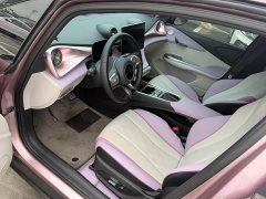 BYD Dolphin Glory Edition 420km Fashion Version - ფოტო 4