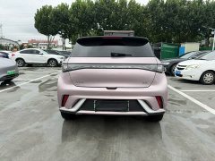 BYD Dolphin Glory Edition 420km Fashion Version - ფოტო 6