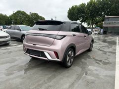 BYD Dolphin Glory Edition 420km Fashion Version - ფოტო 7