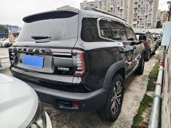 Great Wall Dachshund 1.5T DCT Two-Wheel Drive Husky Edition - ფოტო 15