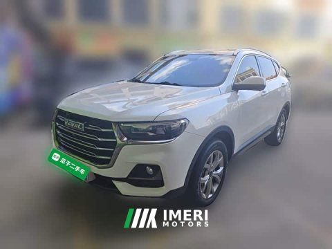 2022 Haval H6 2021 National Trend 1.5T Automatic Champion Edition - ავტომობილი ჩინეთიდან