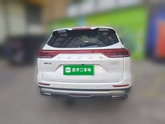 Haval H6 2021 National Trend 1.5T Automatic Champion Edition - ფოტო 3