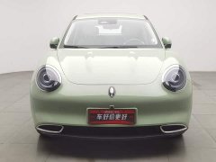 ORA Good Cat 401km Standard Range Deluxe LFP - ფოტო 3