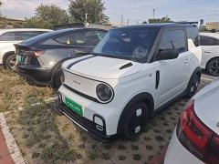 Geely Panda 2025 210km Panda Kart - ფოტო 1
