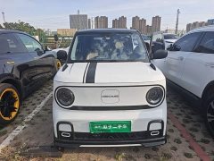 Geely Panda 2025 210km Panda Kart - ფოტო 2