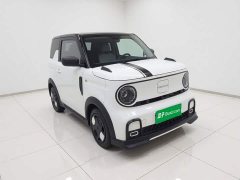 Geely Panda 2025 210km Panda Kart - ფოტო 3