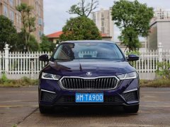 Skoda Octavia PRO TSI280 DSG Flagship - ფოტო 2