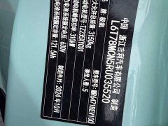 Zeekr Geely Zeekr MIX 2025 Smart Driving Edition - ფოტო 19