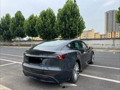 Tesla Model 3 Rear-Wheel Drive - ფოტო 10