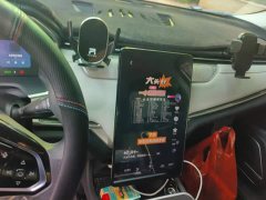 Weltmeister WM EX5 2020 EX5 400 Instant Customer Edition - ფოტო 13