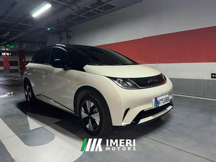 BYD Dolphin 420km Fashion Edition - ავტომობილი ჩინეთიდან