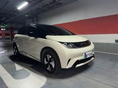 BYD Dolphin 420km Fashion Edition - ფოტო 1