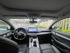Geely Xingui Xingrui 2.0T Diesel Luxury - ფოტო 10
