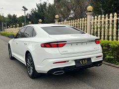 Geely Xingui Xingrui 2.0T Diesel Luxury - ფოტო 16