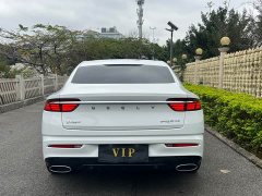 Geely Xingui Xingrui 2.0T Diesel Luxury - ფოტო 17