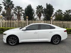 Geely Xingui Xingrui 2.0T Diesel Luxury - ფოტო 5