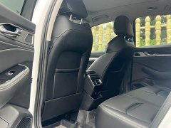 Geely Xingui Xingrui 2.0T Diesel Luxury - ფოტო 8