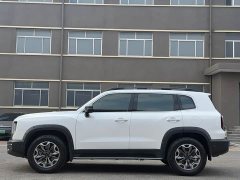 Great Wall Dachshund 2.0T DCT Four-wheel Drive Chinese Rural Dog Hunting Edition - ფოტო 3