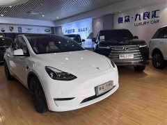 Tesla Model Y Performance All-Wheel Drive - ფოტო 1