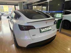 Tesla Model Y Performance All-Wheel Drive - ფოტო 12
