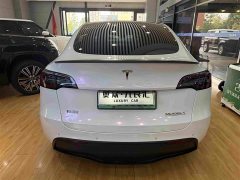Tesla Model Y Performance All-Wheel Drive - ფოტო 13