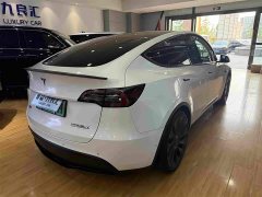 Tesla Model Y Performance All-Wheel Drive - ფოტო 14