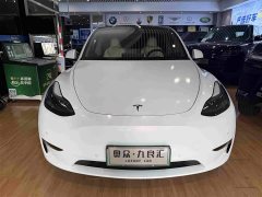 Tesla Model Y Performance All-Wheel Drive - ფოტო 2