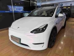 Tesla Model Y Performance All-Wheel Drive - ფოტო 3