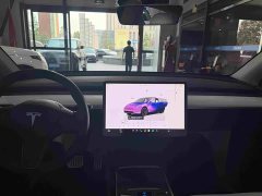 Tesla Model Y Performance All-Wheel Drive - ფოტო 8
