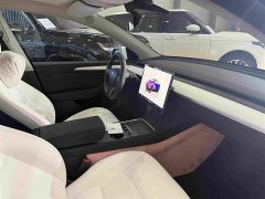 Tesla Model Y Performance All-Wheel Drive - ფოტო 9