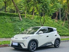 BYD Seagull Glory Edition 405km Flying Edition - ფოტო 1