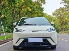 BYD Seagull Glory Edition 405km Flying Edition - ფოტო 2
