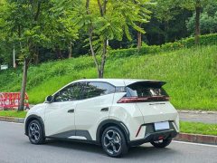 BYD Seagull Glory Edition 405km Flying Edition - ფოტო 3