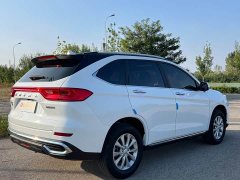 Haval M6 2021 PLUS 1.5T Manual Luxury Smart Connected Edition - ფოტო 6