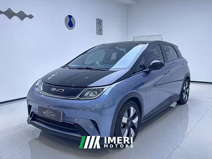 BYD Dolphin 401km Knight Edition - ავტომობილი ჩინეთიდან