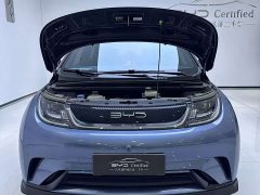 BYD Dolphin 401km Knight Edition - ფოტო 9