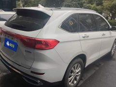 Haval M6 PLUS 1.5T DCT Luxury Smart Connected Edition - ფოტო 3