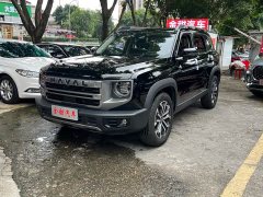 Great Wall Dachshund 2024 1.5T DCT Border Collie Edition - ფოტო 1