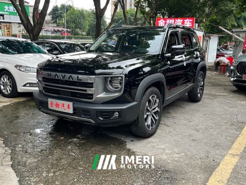 2025 Great Wall Dachshund 1.5T DCT Border Collie Edition - ავტომობილი ჩინეთიდან