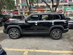 Great Wall Dachshund 2024 1.5T DCT Border Collie Edition - ფოტო 4