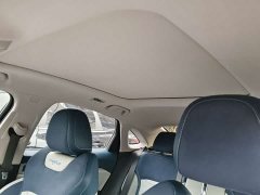 Geely Xingui Xingrui 2.0T Diesel Premium Edition - ფოტო 9
