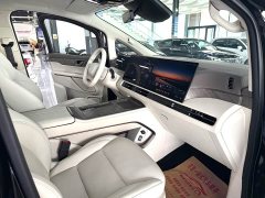 Great Wall WEY Shanshan New Energy Four-Wheel Drive Shanshan 9 - ფოტო 6