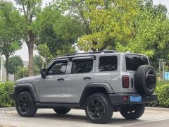 Tank 300 Off-Road Edition 2.0T Conqueror - ფოტო 10