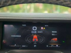 Tank 300 Off-Road Edition 2.0T Conqueror - ფოტო 6