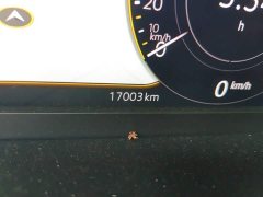 Volkswagen Lavida 2023 Facelift 1.5L Automatic Starry Sky 5 Million Edition - ფოტო 8