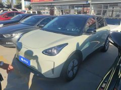 Geely Xing Yuan 310km Youth Edition - ფოტო 1