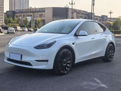 Tesla Model Y 2021 Performance All-Wheel Drive - ფოტო 1