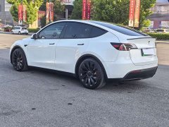 Tesla Model Y 2021 Performance All-Wheel Drive - ფოტო 14